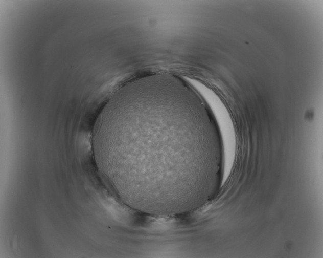 X0000092100621200709191308