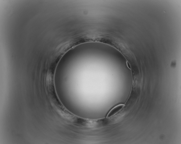 X0000092100623200709191308