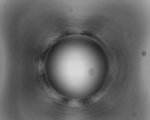 X0000092100624200709191308