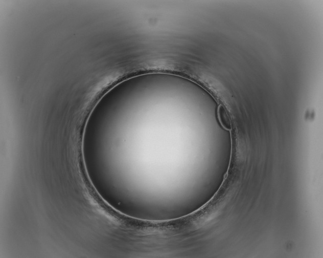 X0000092100625200709191307