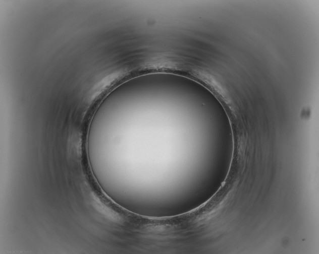 X0000092100629200709191307