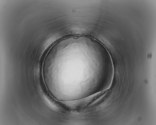 X0000092100630200709191307