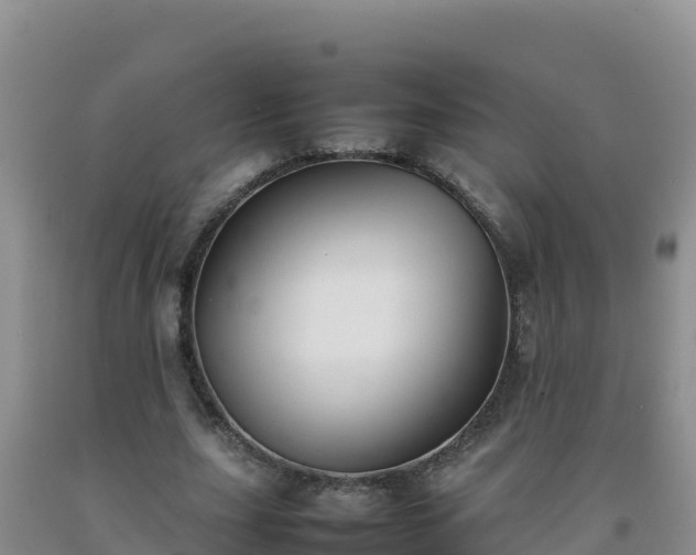 X0000092100631200709191307