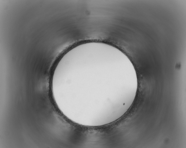 X0000092100632200709191307