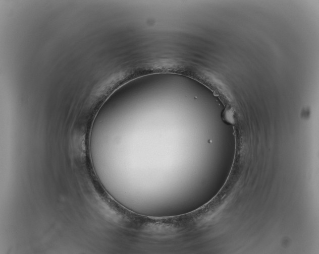 X0000092100633200709191307