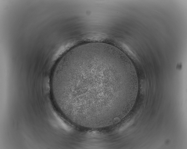 X0000092100634200709191307