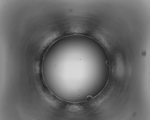 X0000092100635200709191307