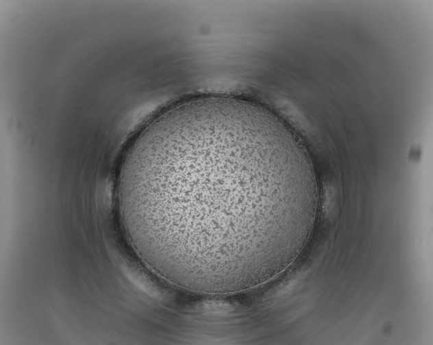 X0000092100636200709191308