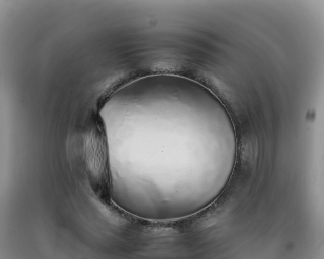 X0000092100637200709191308