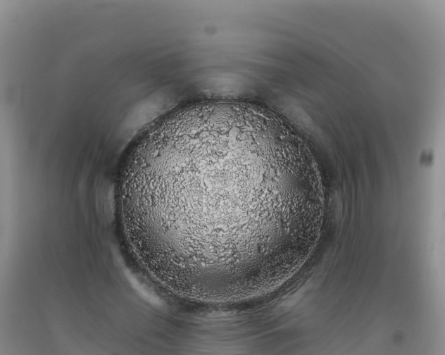 X0000092100638200709191308