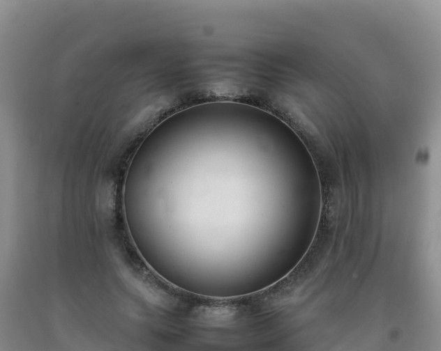 X0000092100639200709191308