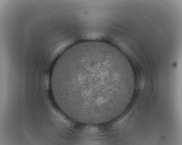 X0000092100640200709191308