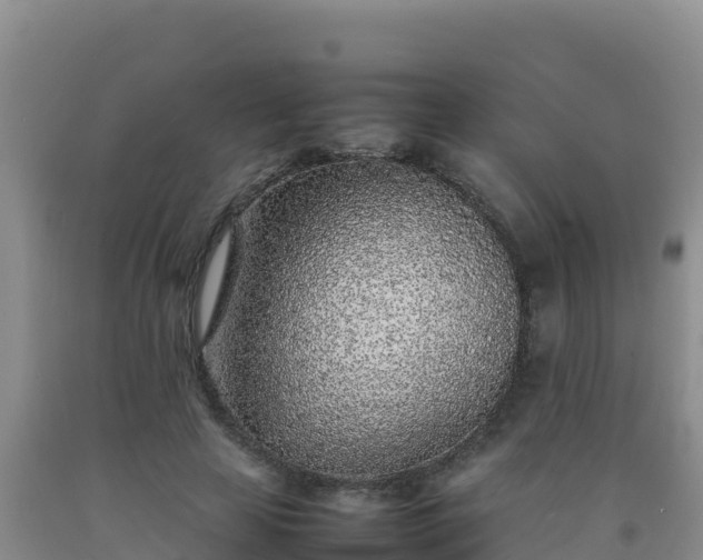 X0000092100641200709191308