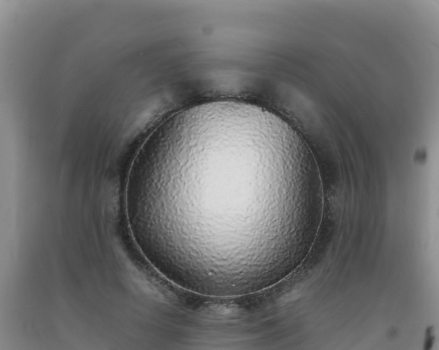 X0000092100642200709191308