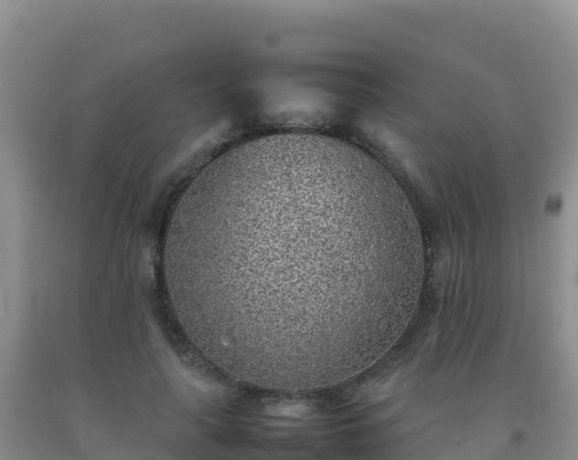 X0000092100643200709191308