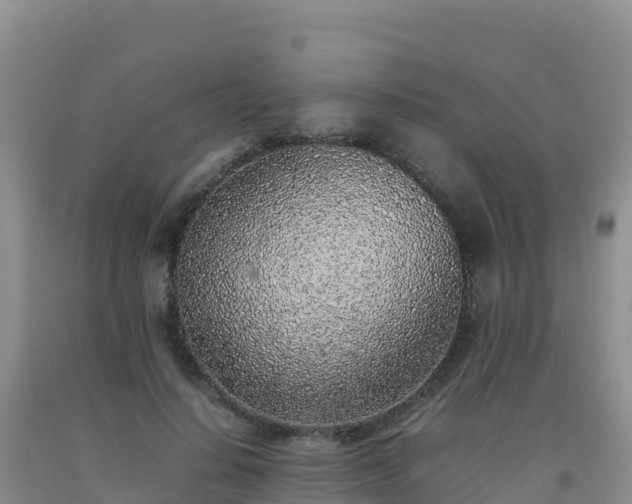 X0000092100644200709191308