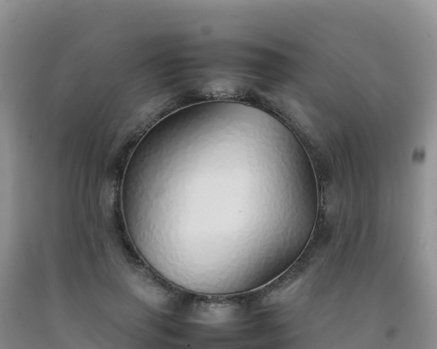 X0000092100645200709191308