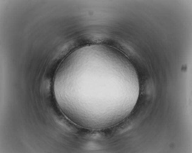 X0000092100646200709191308