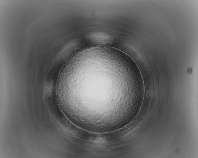 X0000092100647200709191308