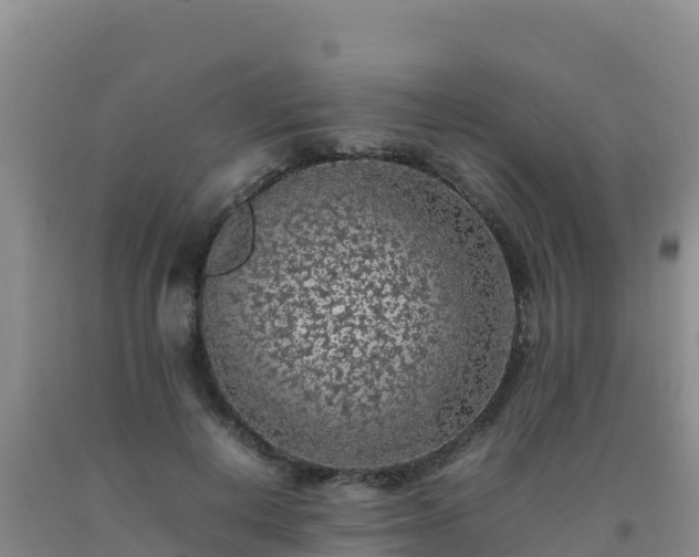 X0000092100648200709191308