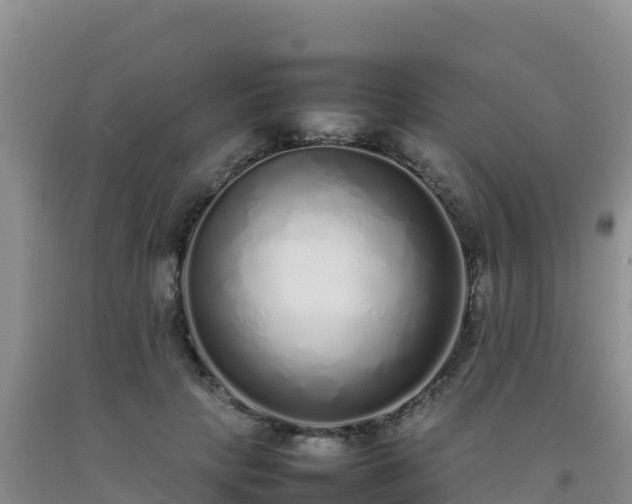 X0000092100649200709191308