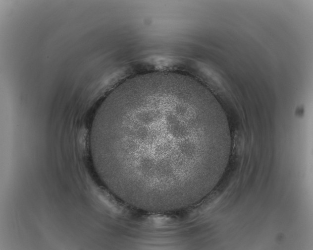 X0000092100650200709191308