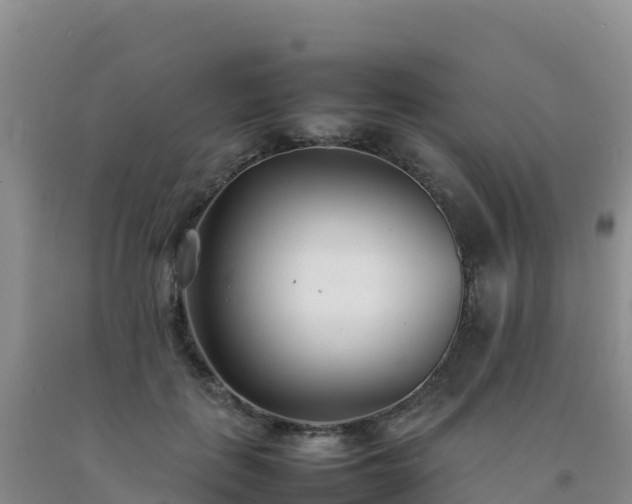 X0000092100651200709191308