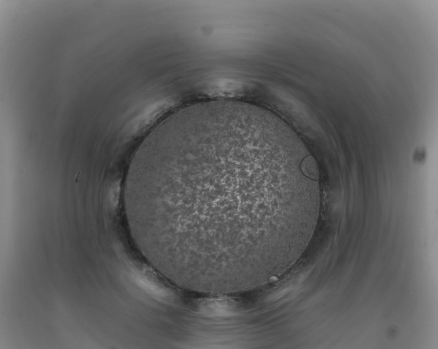 X0000092100652200709191308