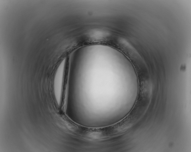 X0000092100653200709191308