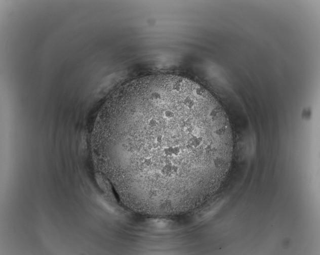 X0000092100654200709191308