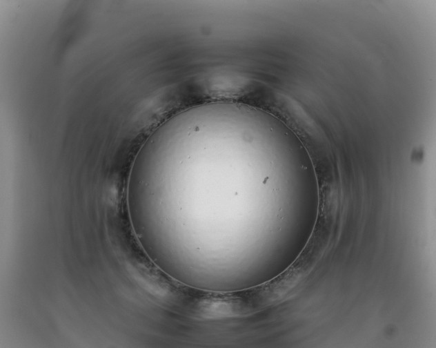 X0000092100655200709191308