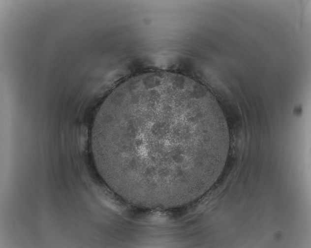 X0000092100656200709191308