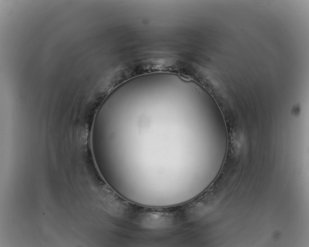 X0000092100657200709191308