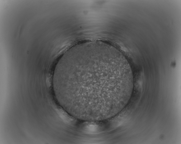 X0000092100658200709191308