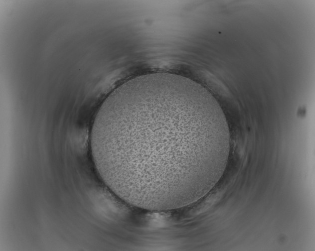 X0000092100660200709191308