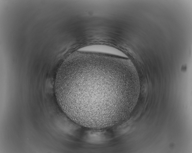 X0000092100661200709191308