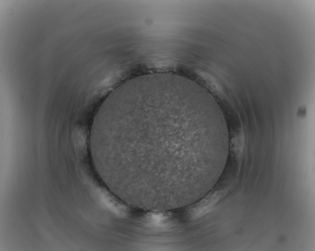 X0000092100662200709191308