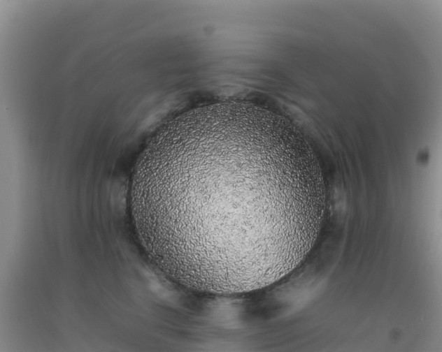 X0000092100664200709191308