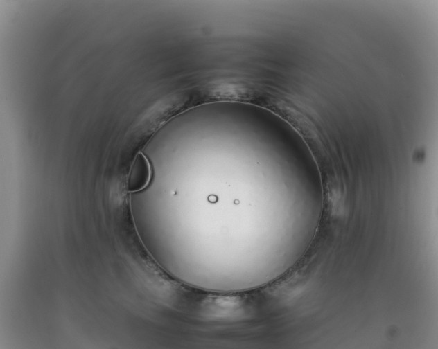 X0000092100665200709191308