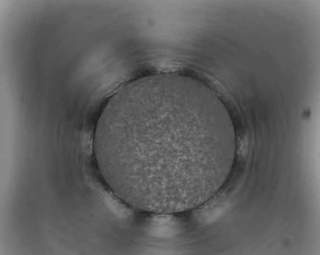 X0000092100666200709191308