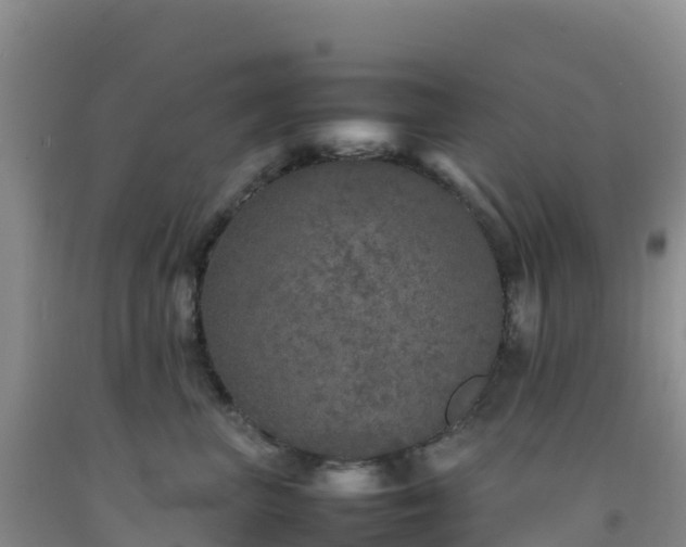 X0000092100667200709191308