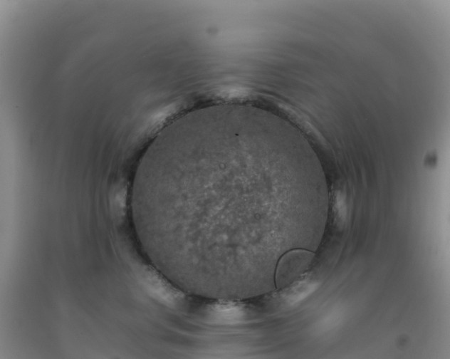 X0000092100668200709191308