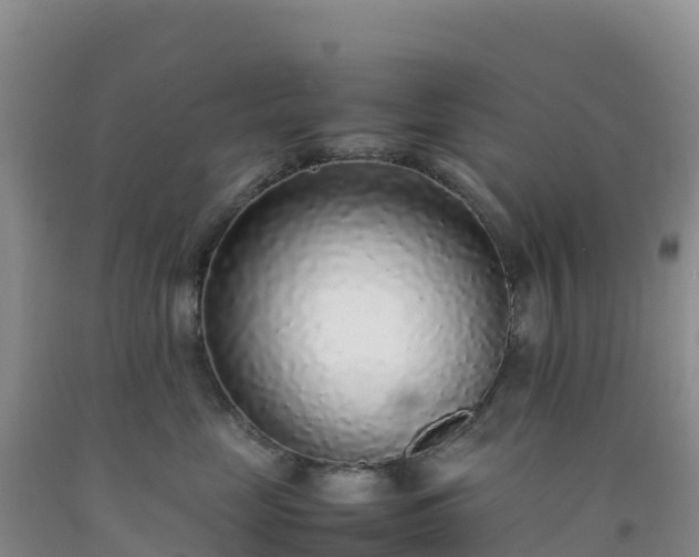 X0000092100669200709191308