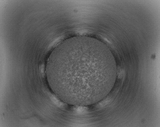 X0000092100670200709191308