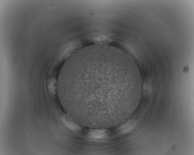 X0000092100671200709191308