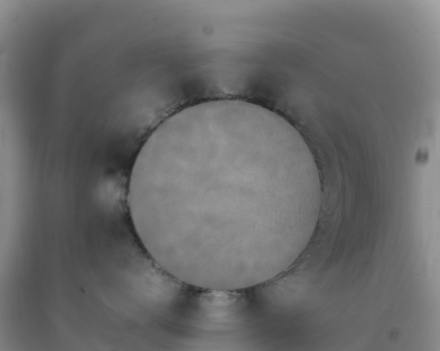 X0000092100672200709191308