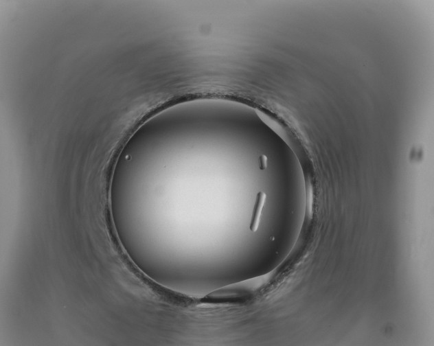 X0000092100673200709191307