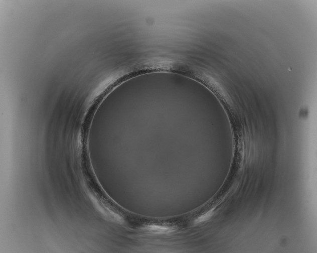 X0000092100674200709191307