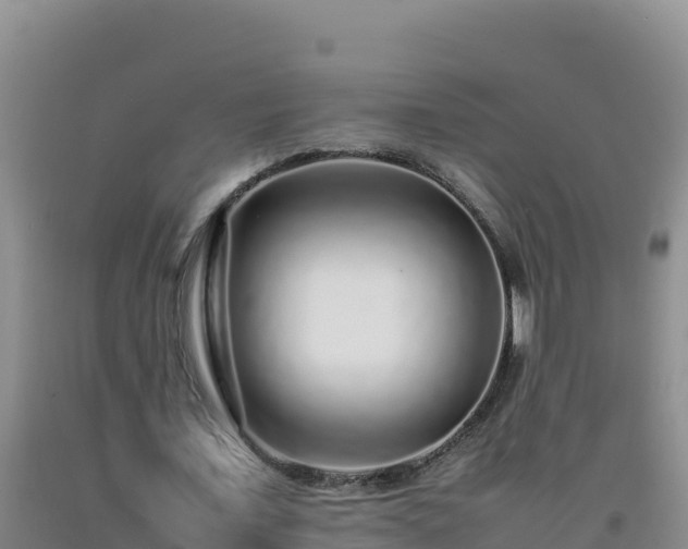 X0000092100675200709191307