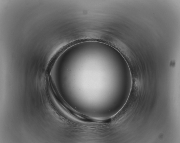 X0000092100676200709191307